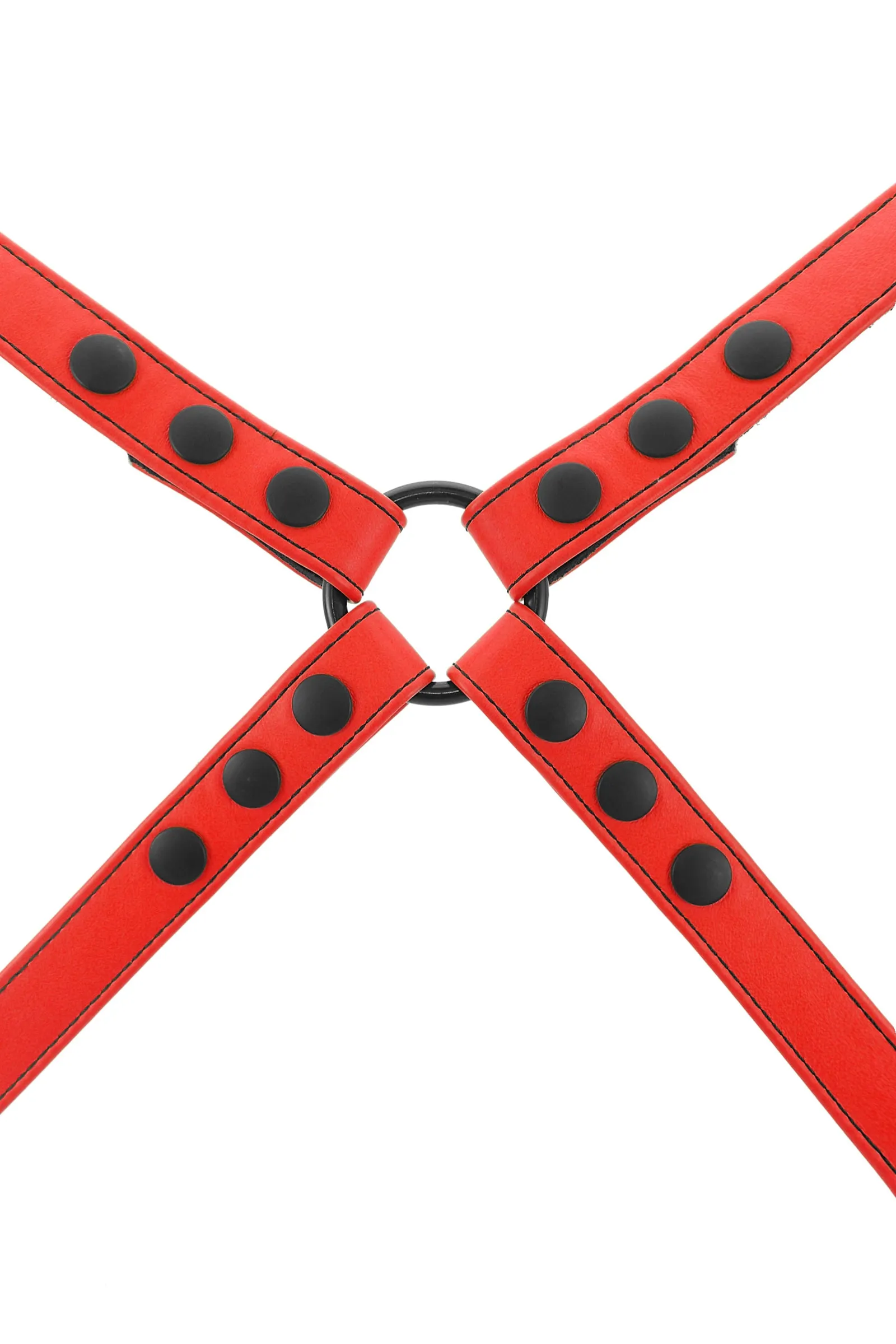 SHOULDER HARNESS - Colour