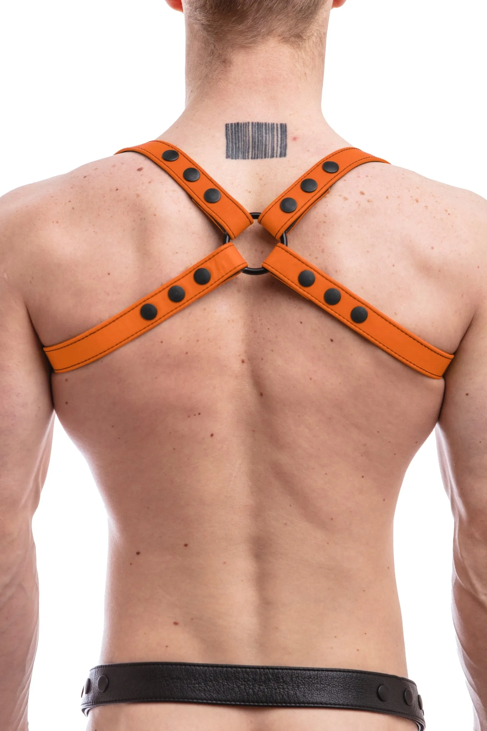 SHOULDER HARNESS - Colour