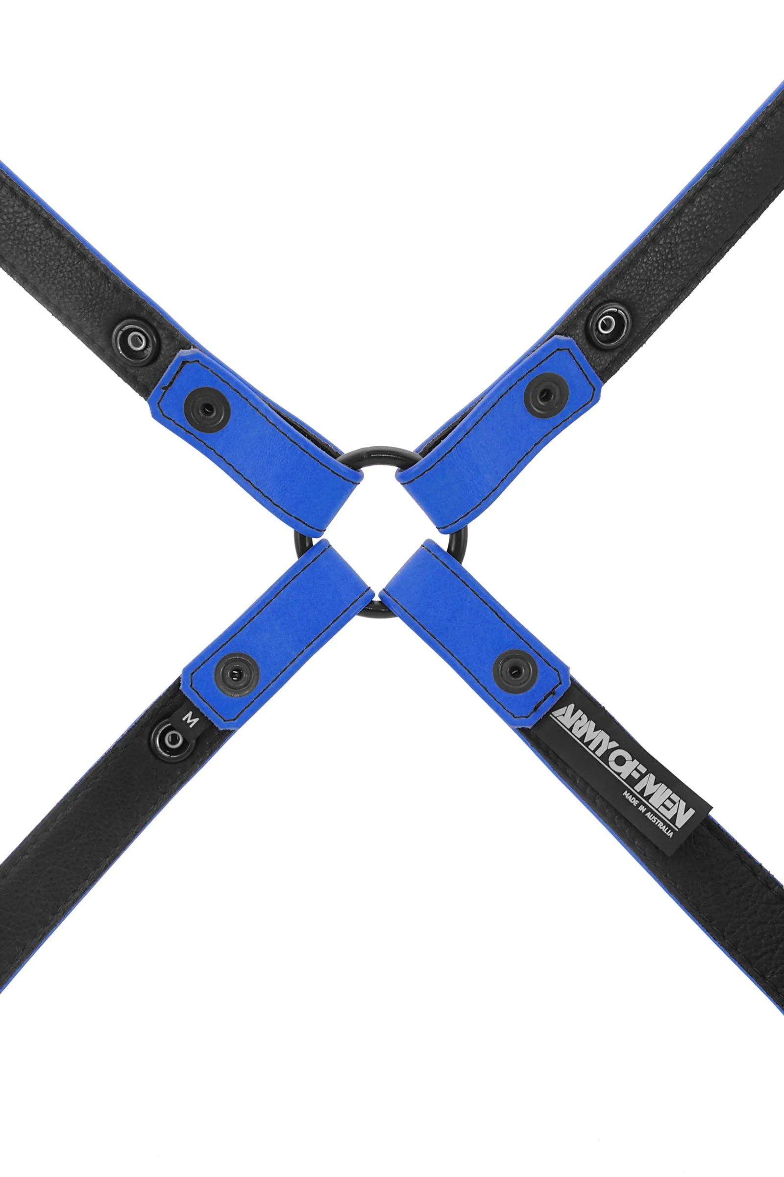 SHOULDER HARNESS - Colour