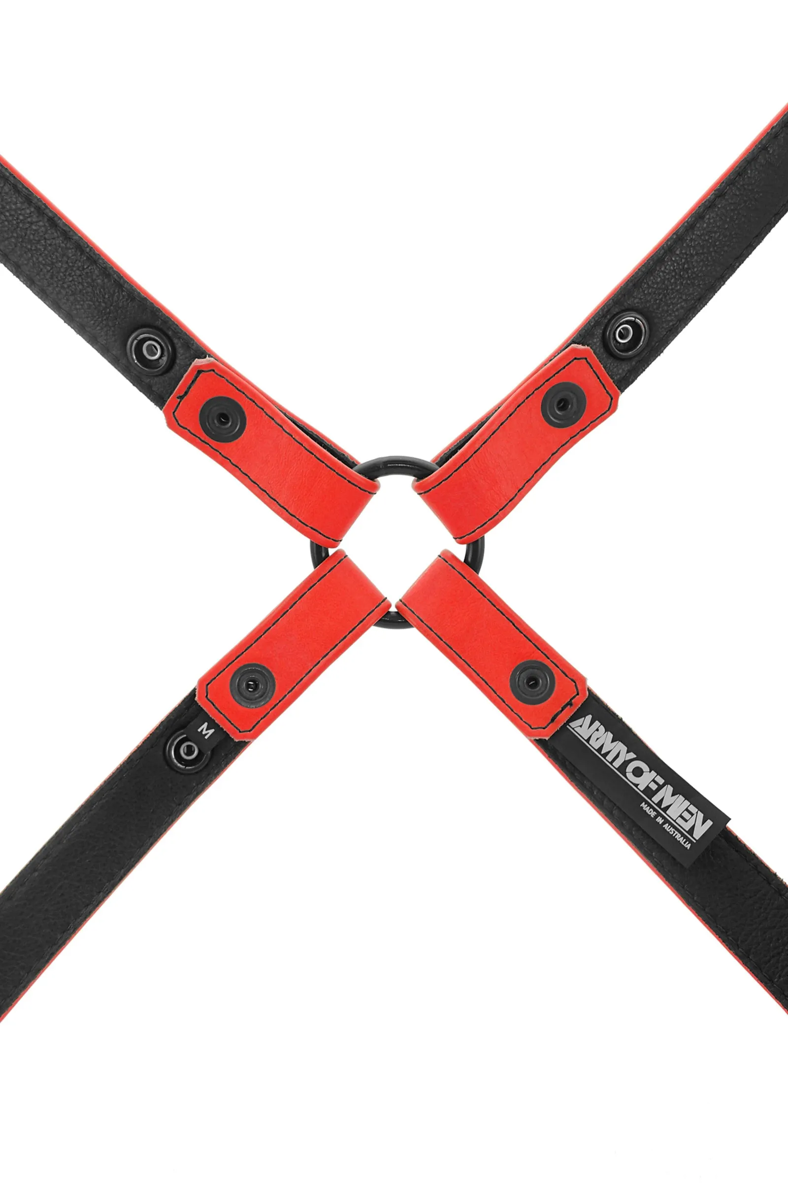 SHOULDER HARNESS - Colour