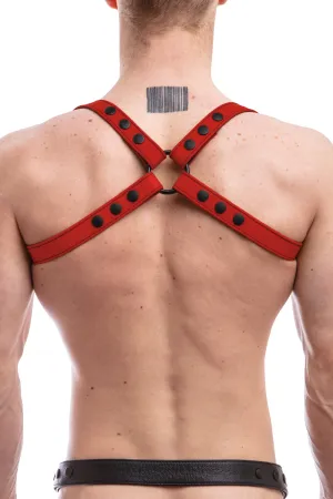 SHOULDER HARNESS - Colour