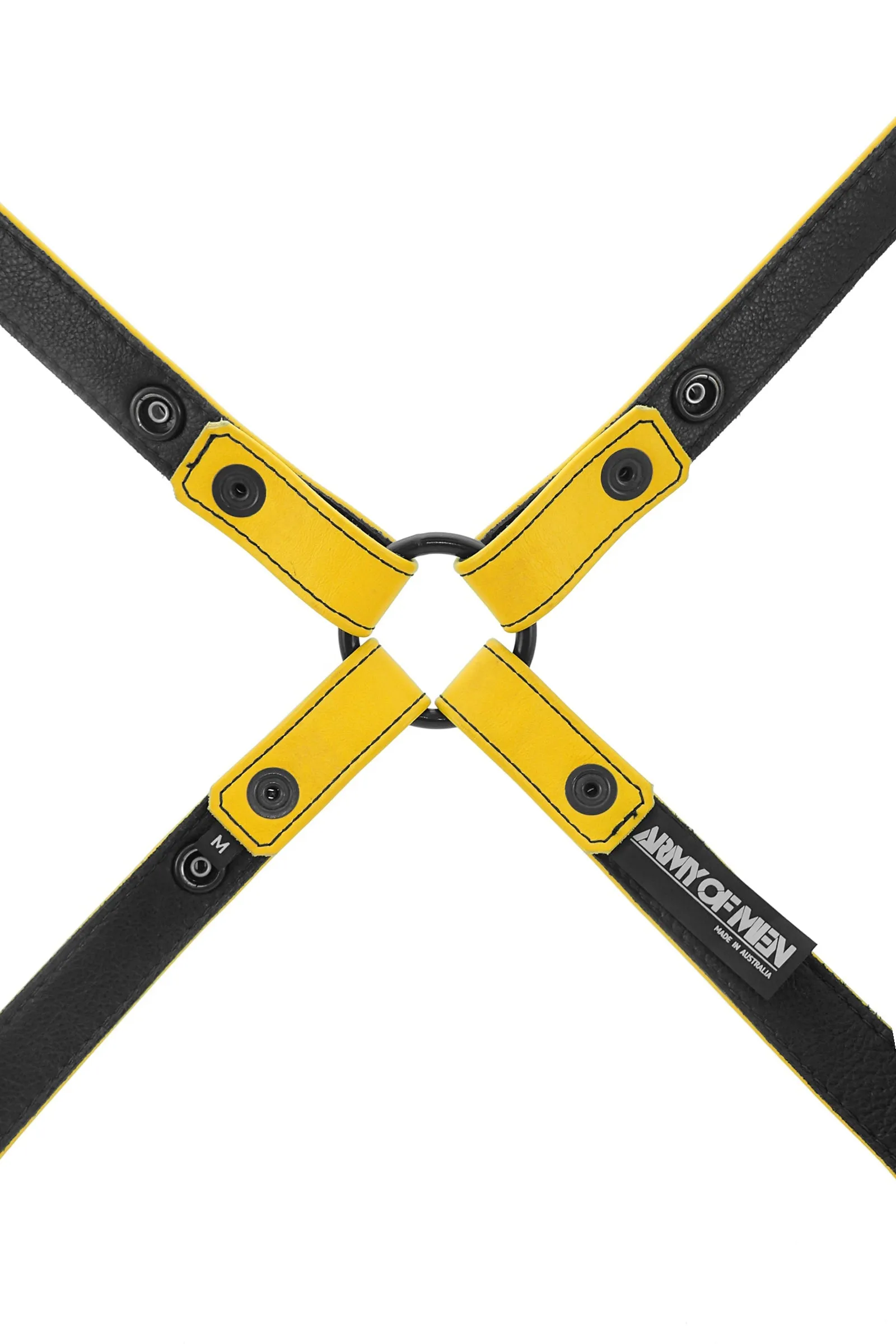 SHOULDER HARNESS - Colour