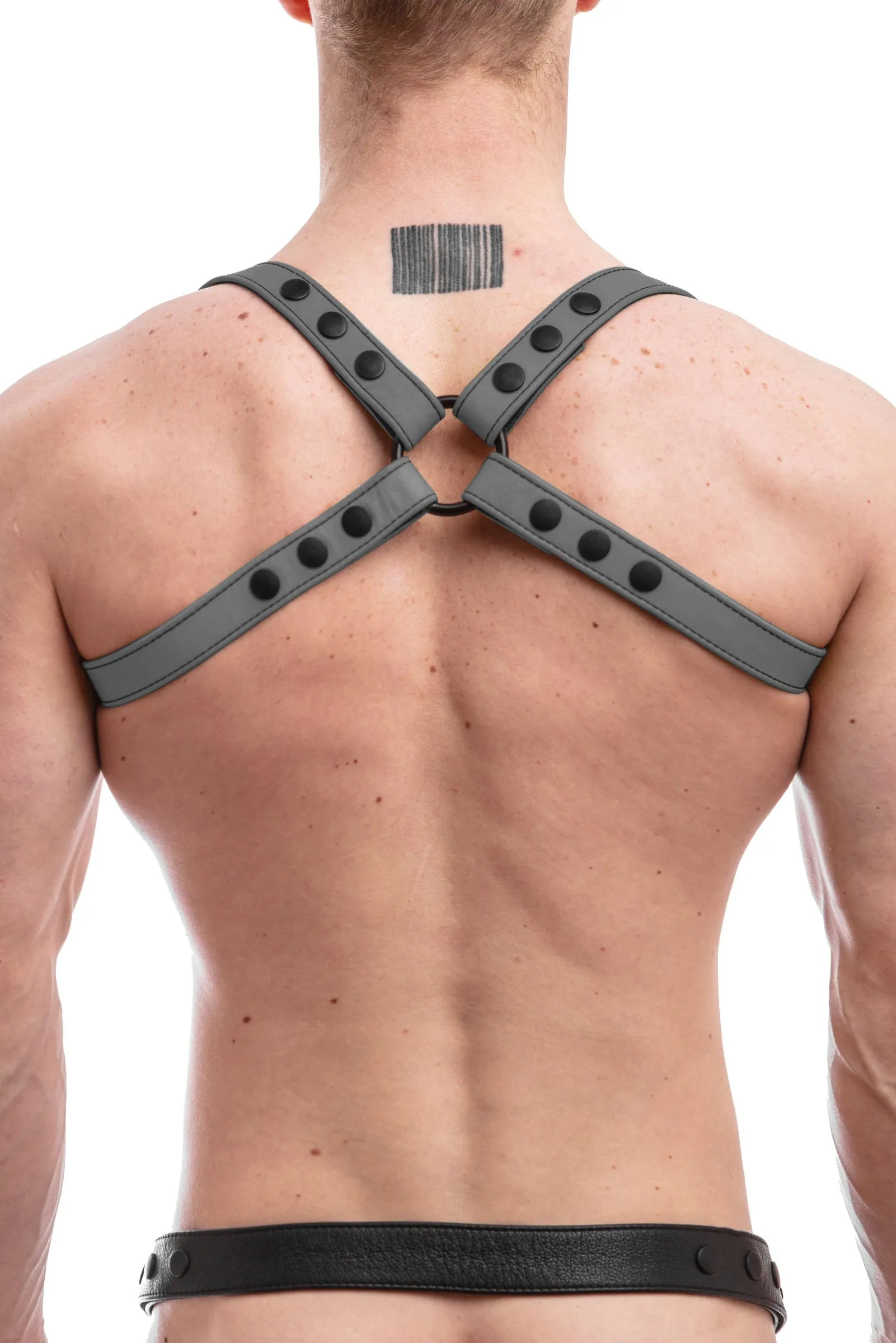 SHOULDER HARNESS - Colour
