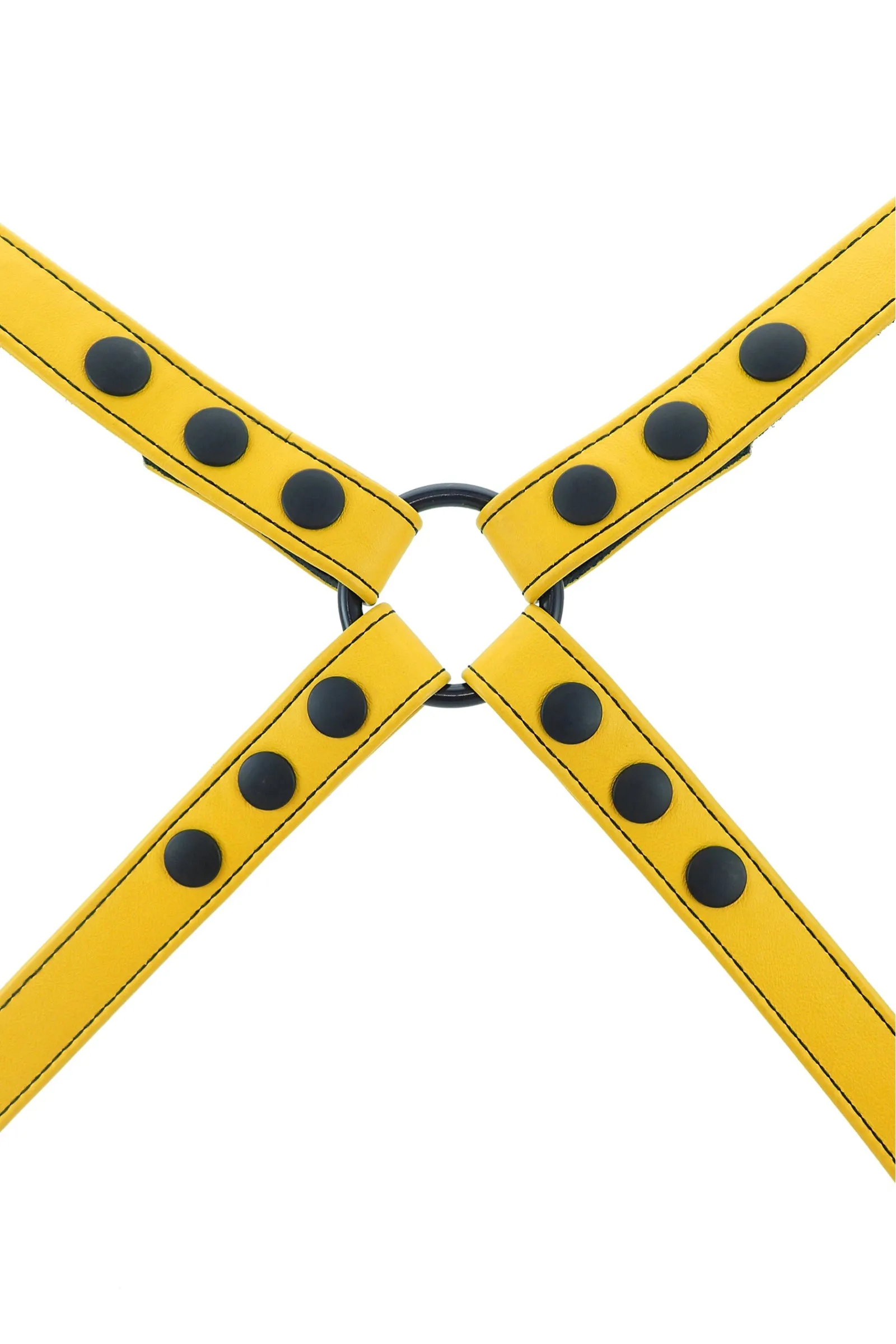 SHOULDER HARNESS - Colour