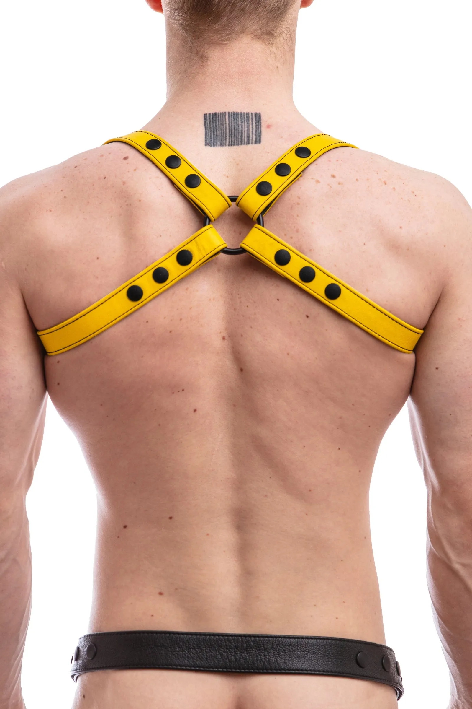 SHOULDER HARNESS - Colour