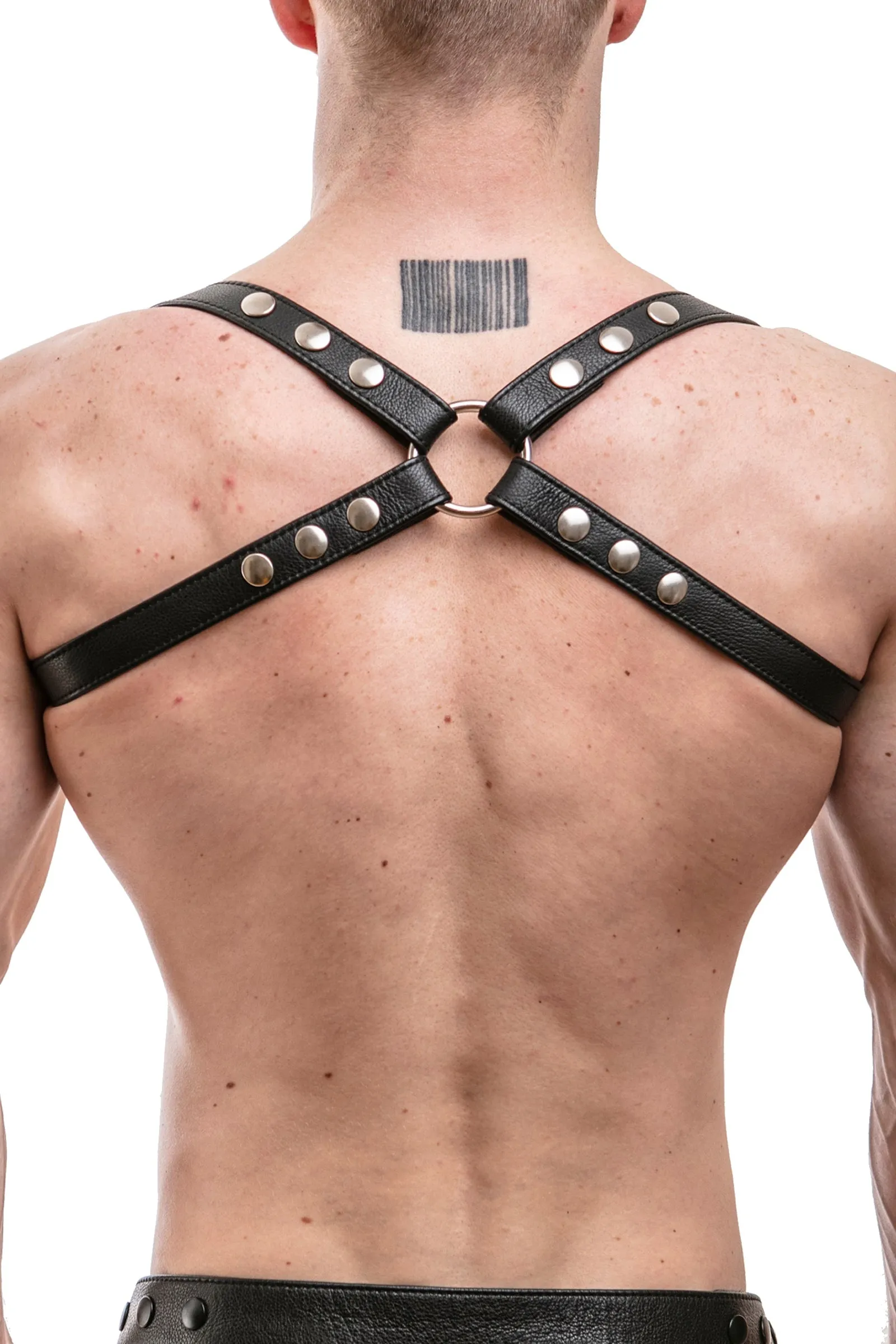 SHOULDER HARNESS - Stainless Steel