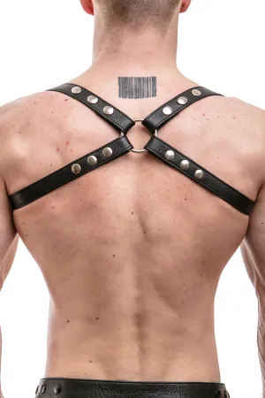 SHOULDER HARNESS - Stainless Steel